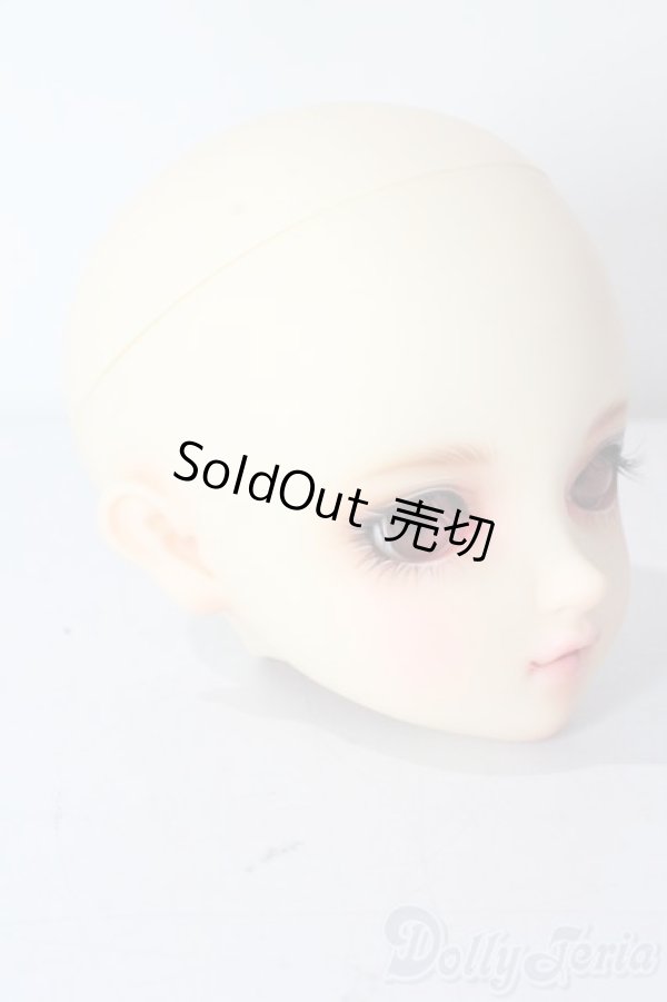 画像3: SDGrG/SDGr/ルチア 2nd(アンティークスタイリストver):ヘッドのみ U-25-10-21-212-TN-ZU (3)