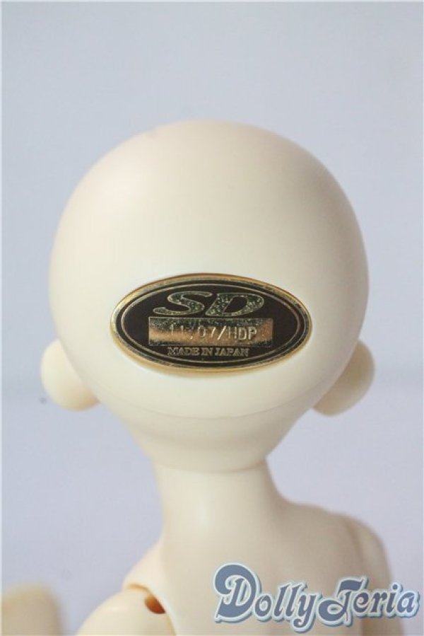 画像4: 幼SD/ピッコロ　クラウンド ホワイト キング U-25-10-28-212-TN-ZU (4)