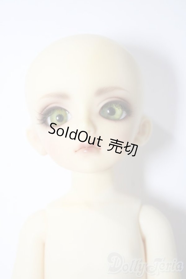 画像1: 幼SD/ピッコロ　クラウンド ホワイト キング U-25-11-05-211-TN-ZU (1)