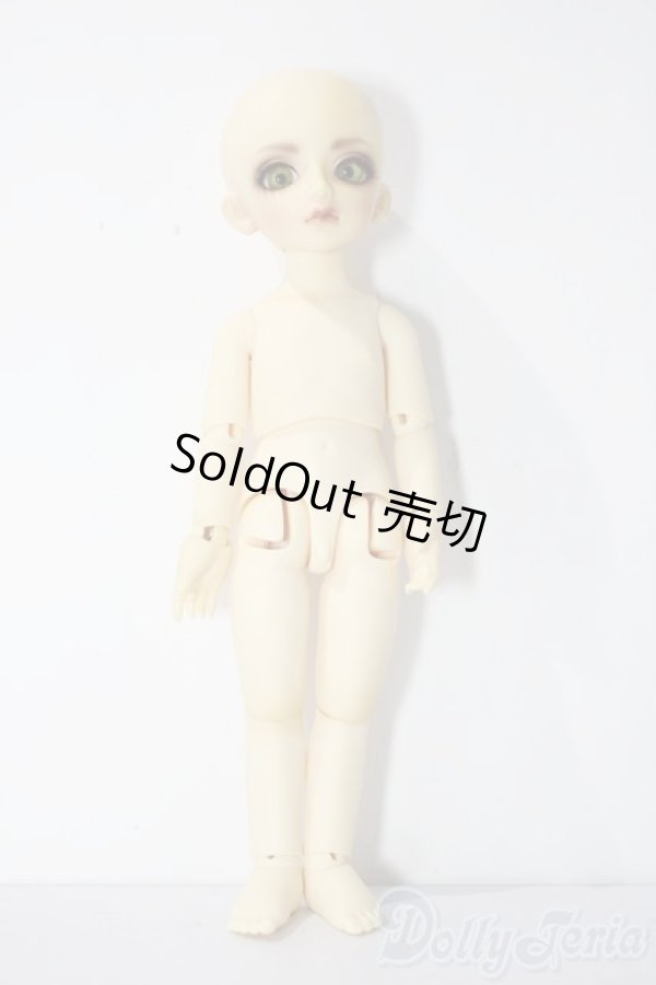 画像4: 幼SD/ピッコロ　クラウンド ホワイト キング U-25-11-05-211-TN-ZU (4)