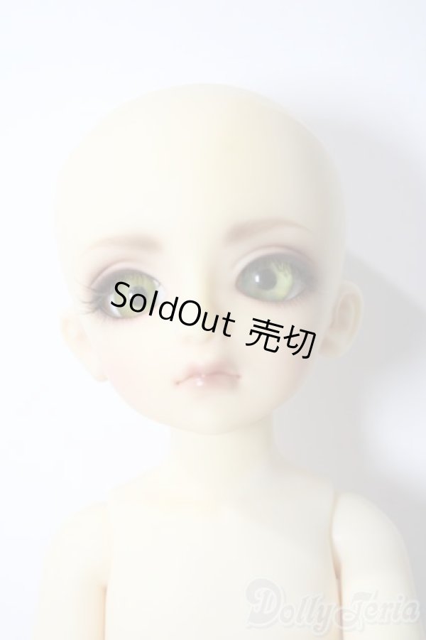 画像7: 幼SD/ピッコロ　クラウンド ホワイト キング U-25-11-05-211-TN-ZU (7)