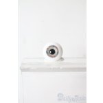 画像: 16mm/グラスアイ U-25-11-05-071-TN-ZU