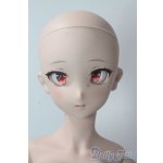 画像: DDdy/ドリームチョイス DC-H-24ヘッド A-25-10-29-1100-TN-ZU