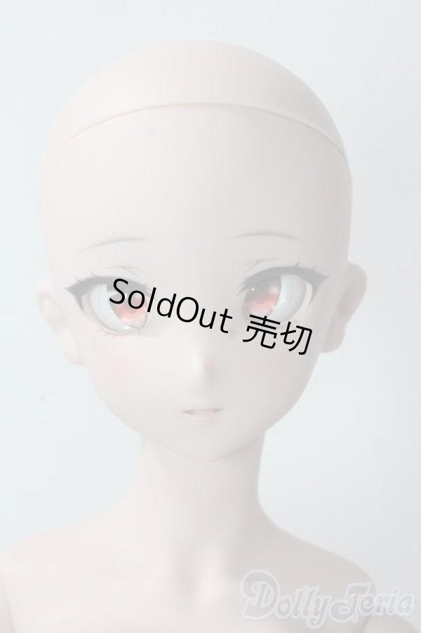 画像1: DDdy/ドリームチョイス DC-H-24ヘッド A-25-10-29-1100-TN-ZU (1)