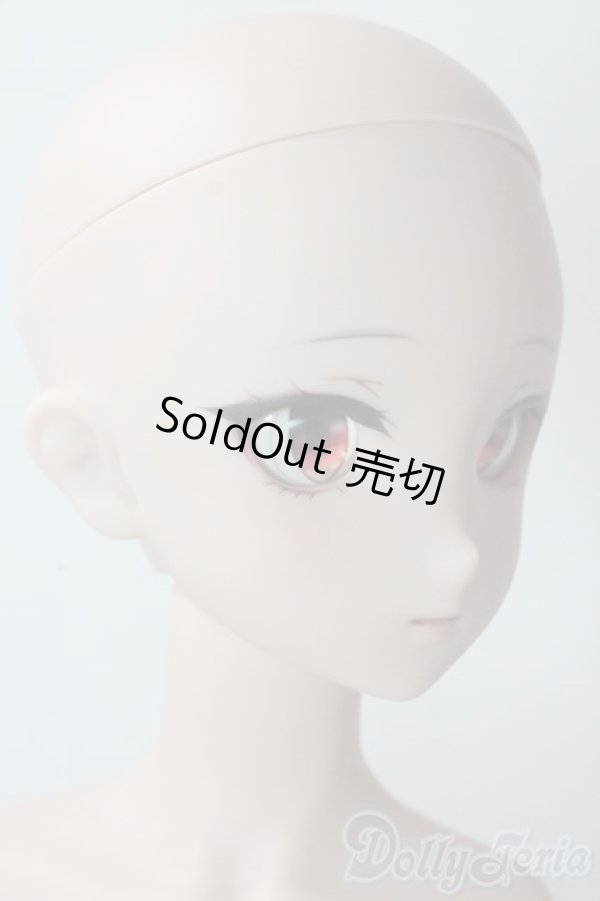 画像2: DDdy/ドリームチョイス DC-H-24ヘッド A-25-10-29-1100-TN-ZU (2)