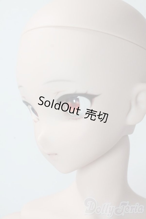 画像3: DDdy/ドリームチョイス DC-H-24ヘッド A-25-10-29-1100-TN-ZU (3)