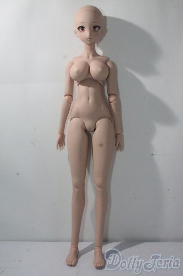 画像4: DDdy/ドリームチョイス DC-H-24ヘッド A-25-10-29-1100-TN-ZU (4)