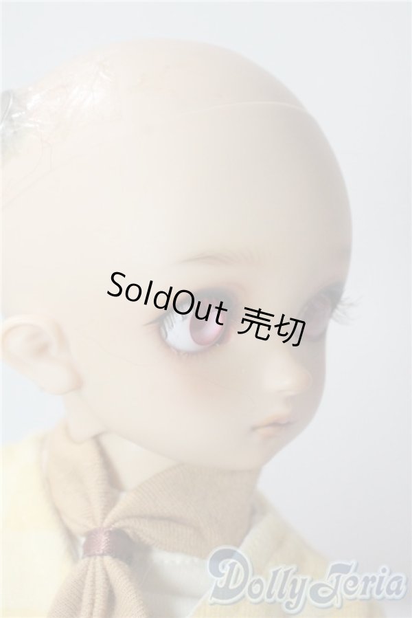 画像3: MSD/コーディネートモデル:F-60男の子 U-25-10-28-213-TN-ZU (3)