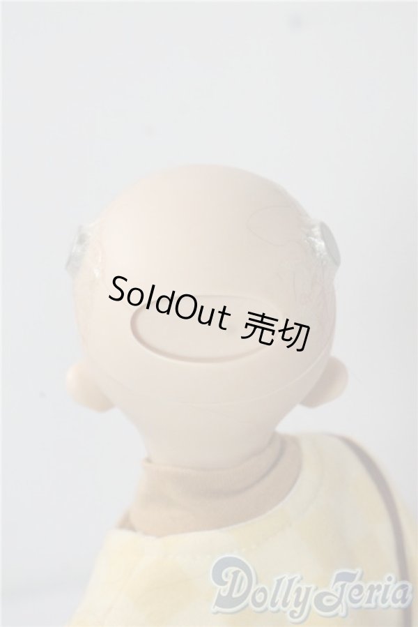 画像5: MSD/コーディネートモデル:F-60男の子 U-25-10-28-213-TN-ZU (5)