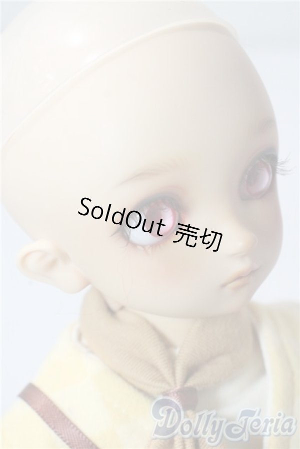 画像6: MSD/コーディネートモデル:F-60男の子 U-25-10-28-213-TN-ZU (6)