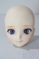 画像: DOLLCEDOLL/DC60-03　カスタムヘッド A-25-10-29-1094-TN-ZU