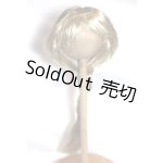画像: 9-10inch/ウィッグ U-25-10-21-240-TN-ZU