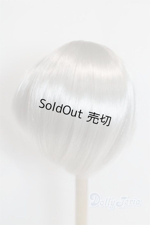 画像2: 9-10inch/ウィッグ U-25-10-21-242-TN-ZU (2)