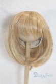 画像1: 9-10inch/ウィッグ U-25-10-21-273-TN-ZU (1)