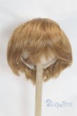 画像1: 9-10inch/ウィッグ U-25-10-21-274-TN-ZU (1)
