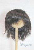 画像1: 9-10inch/ウィッグ U-25-10-21-288-TN-ZU (1)