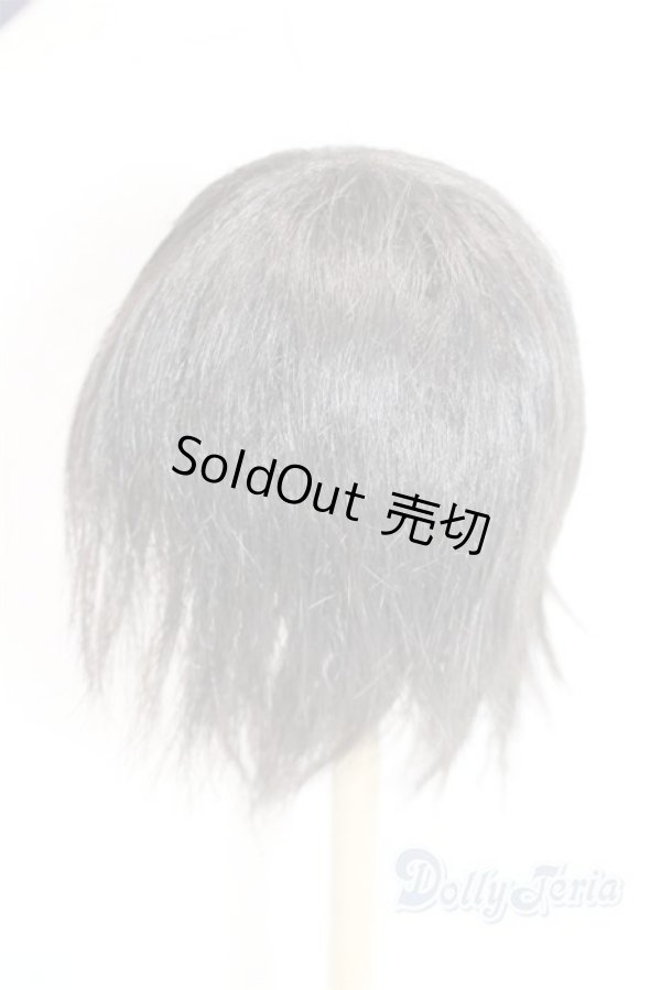 画像2: 9-10inch/ウィッグ U-25-10-21-288-TN-ZU (2)