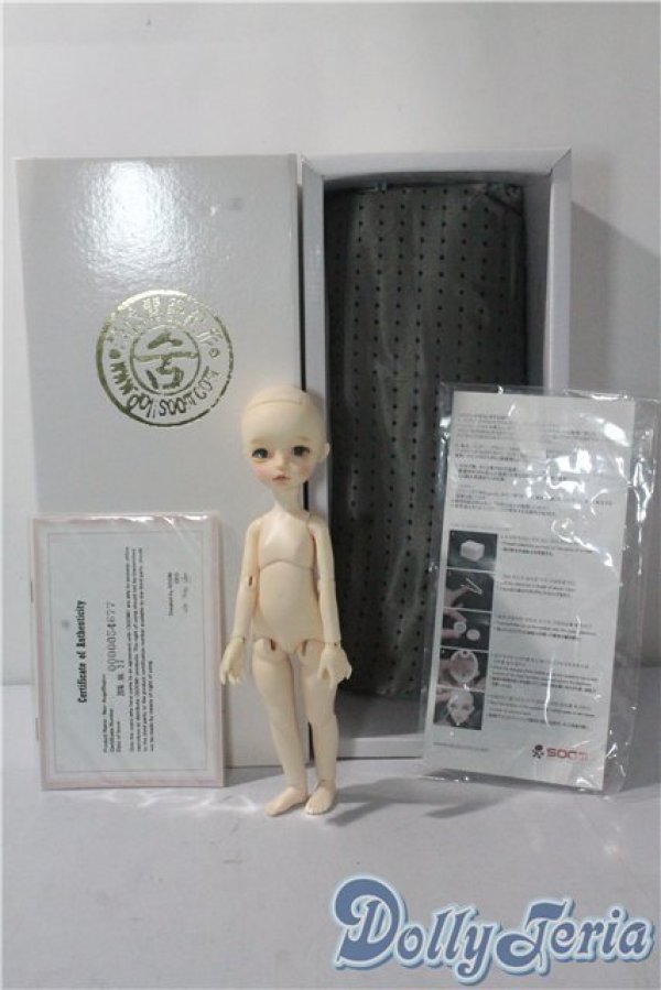 画像6: imda2.2/modigli A-25-10-22-1093-TN-ZU (6)