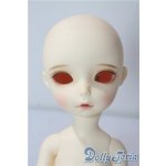 画像: imda3.0/amellia A-25-10-22-1095-TN-ZU