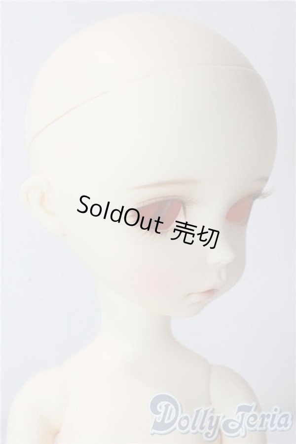 画像2: imda3.0/amellia A-25-10-22-1095-TN-ZU (2)