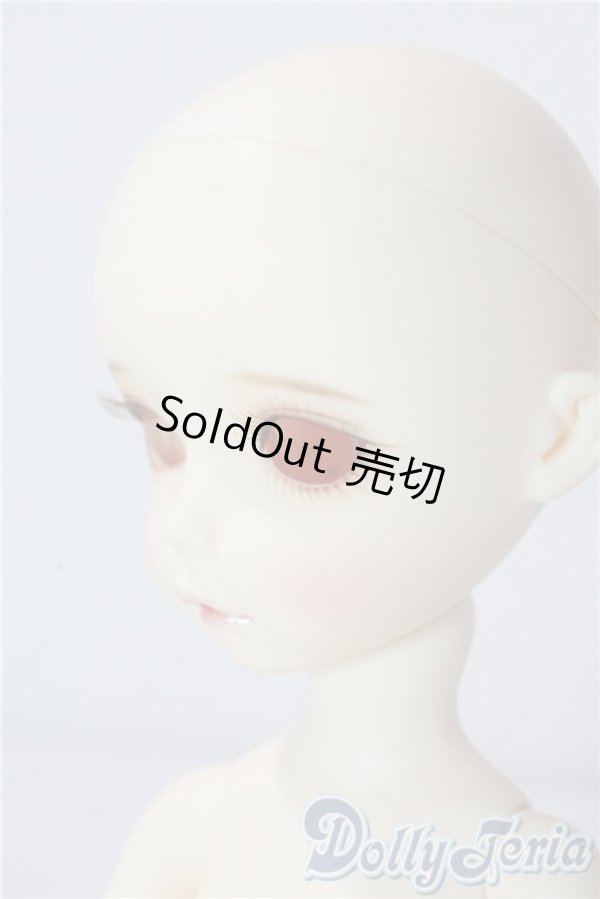 imda3.0/amellia A-25-10-22-1095-TN-ZU - ドーリーテリア