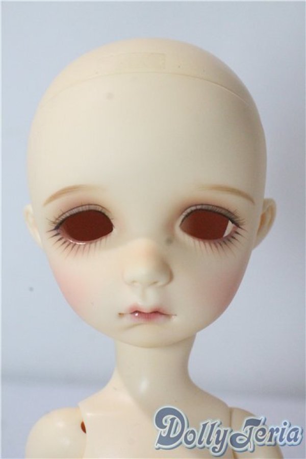 画像1: imda3.0/colette A-25-10-22-1096-TN-ZU (1)