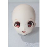 画像: DDH/カスタムヘッド A-25-10-29-1093-TN-ZU