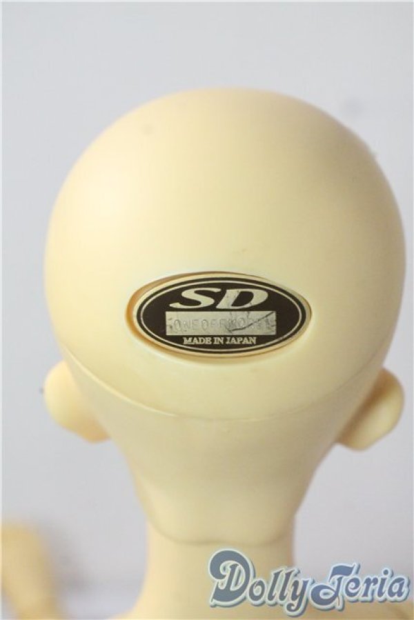 画像4: SD13/教室Cヘッド(刻印:43番)Ciera様メイク  U-25-10-28-217-TN-ZU (4)