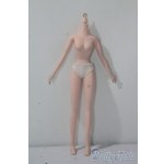 画像: ジェニー/ボディ A-25-10-29-1082-TN-ZU