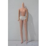 画像: ジェニー/ボディ A-25-10-29-1081-TN-ZU