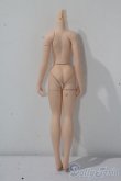 画像2: azone/ピュアニーモフレクションボディ：L女の子 A-25-10-29-1079-TN-ZU (2)