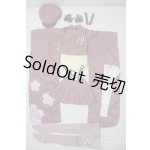 画像: DD/OF:初音ミク千本桜ドレスセット(壱ノ桜・桜花) A-25-10-29-1051-TN-ZU