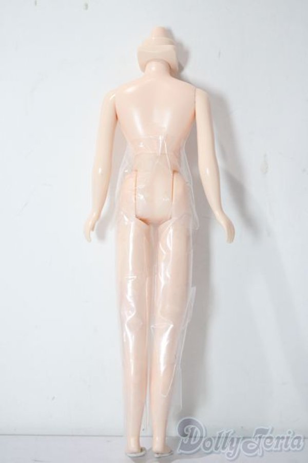 画像2: ネオブライス/ボディ A-25-11-05-1077-TN-ZU (2)