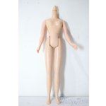 画像: ネオブライス/ボディ A-25-11-05-1076-TN-ZU