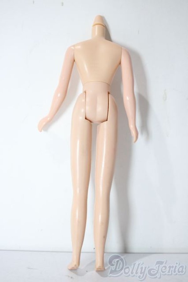 画像2: ネオブライス/ボディ A-25-11-05-1076-TN-ZU (2)