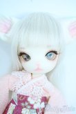 画像1: 【DOLK×DOLLZONE】Mini Kitty -Happy New Year 2020- Y-25-11-05-009-TN-ZY (1)