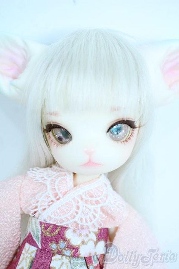 画像1: 【DOLK×DOLLZONE】Mini Kitty -Happy New Year 2020- Y-25-11-05-009-TN-ZY (1)