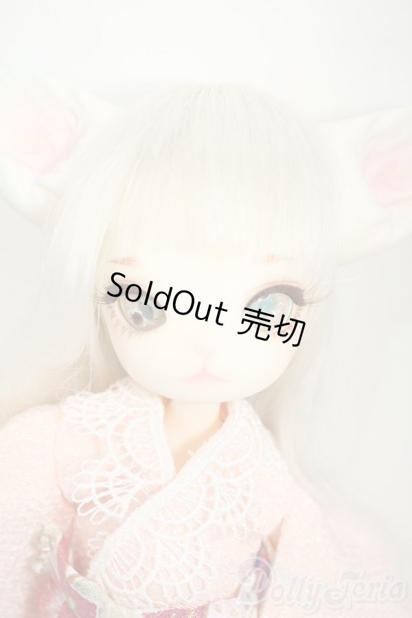 画像1: 【DOLK×DOLLZONE】Mini Kitty -Happy New Year 2020- Y-26-02-11-297-TN-ZY (1)