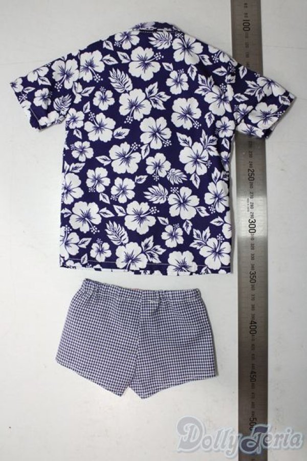 画像2: SD17B/OF:衣装セット U-25-11-05-126-TN-ZU (2)