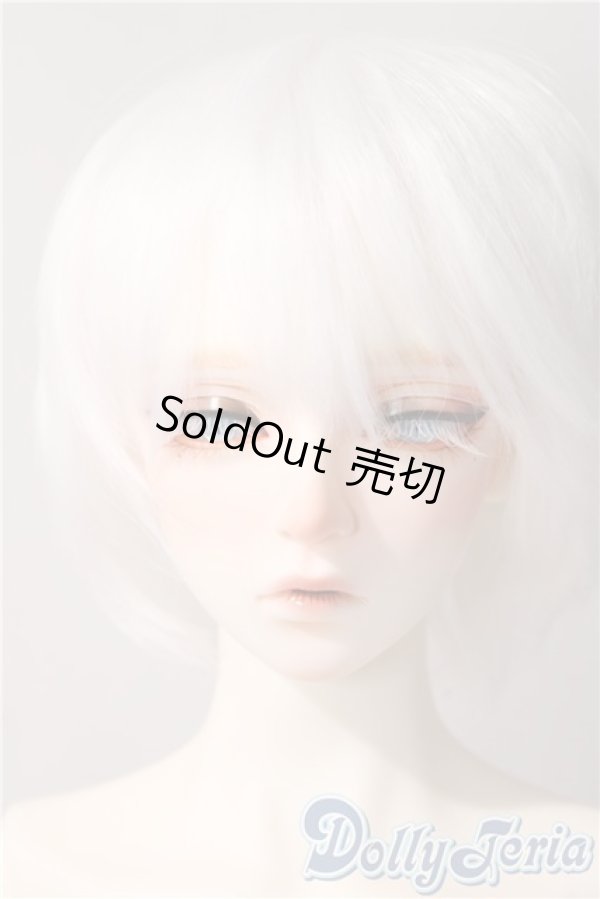 画像1: RSDOLL/New EVAN 白猫 ver. Limited A-25-11-12-1049-TN-ZU (1)