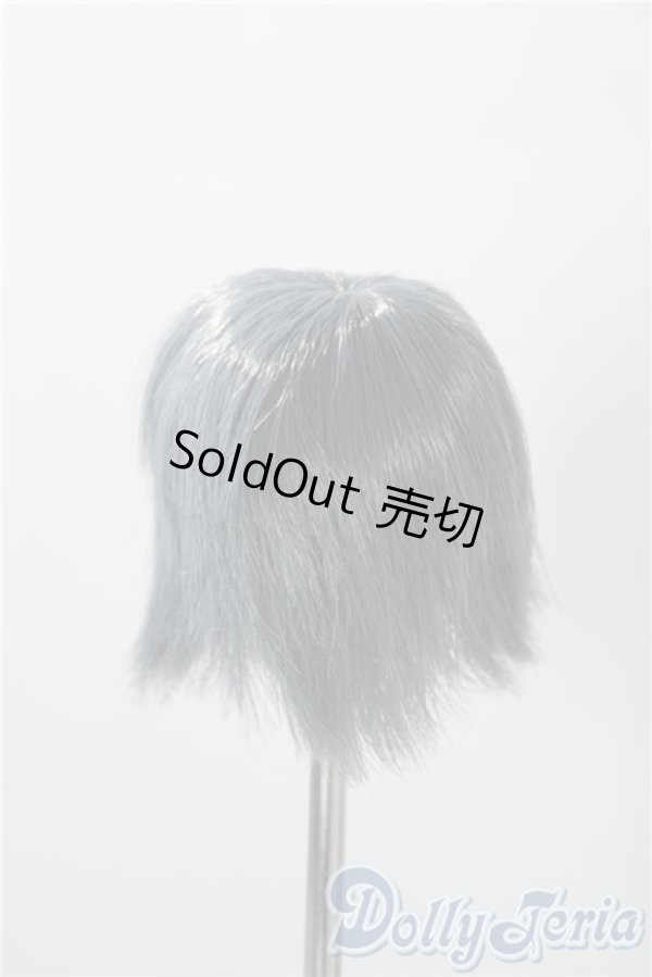 画像2: 5inch/ウィッグ A-25-11-12-1016-TN-ZU (2)