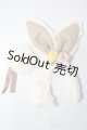 画像: SD/OF:小物 U-25-11-05-198-TN-ZU