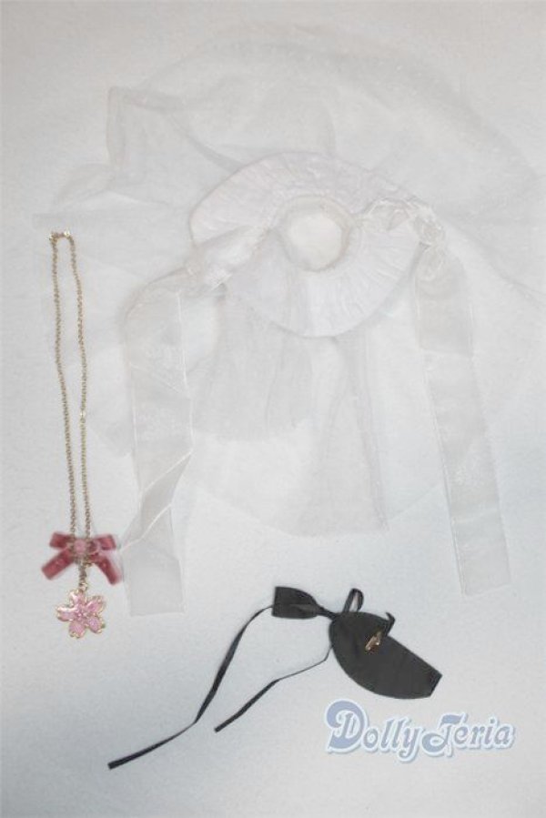 画像2: SDM＆MSD/OF:小物 U-25-11-12-249-TN-ZU (2)