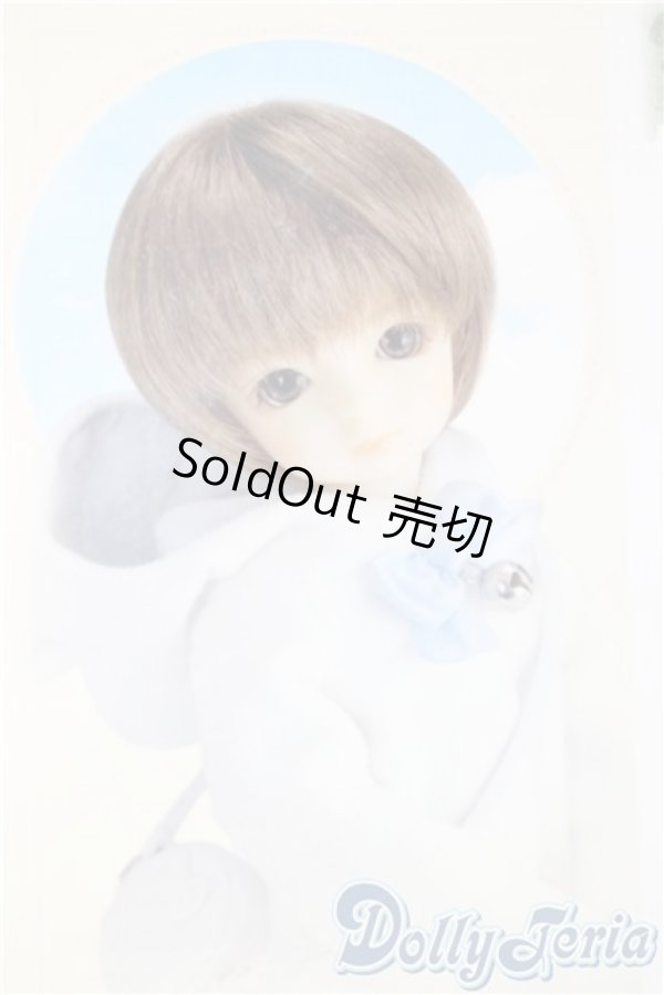 画像1: 幼SD/パフ U-25-11-12-211-TN-ZU (1)