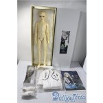 画像: SD13男の子/荒夜 U-25-11-12-213-TN-ZU