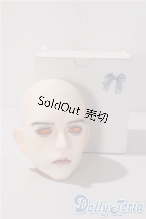 画像5: Ufdoll/カスタムヘッド A-25-11-12-1100-TN-ZU (5)