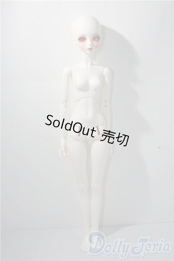 画像4: 【DOLK×Peak’s Woods】/FOC Goldie - Beautiful Kitty ver. Limited A-25-12-24-1099-TN-ZU (4)