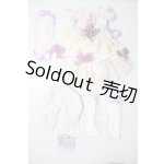 画像: SDM&MSD/OF:衣装セット U-26-04-29-080-TN-ZU