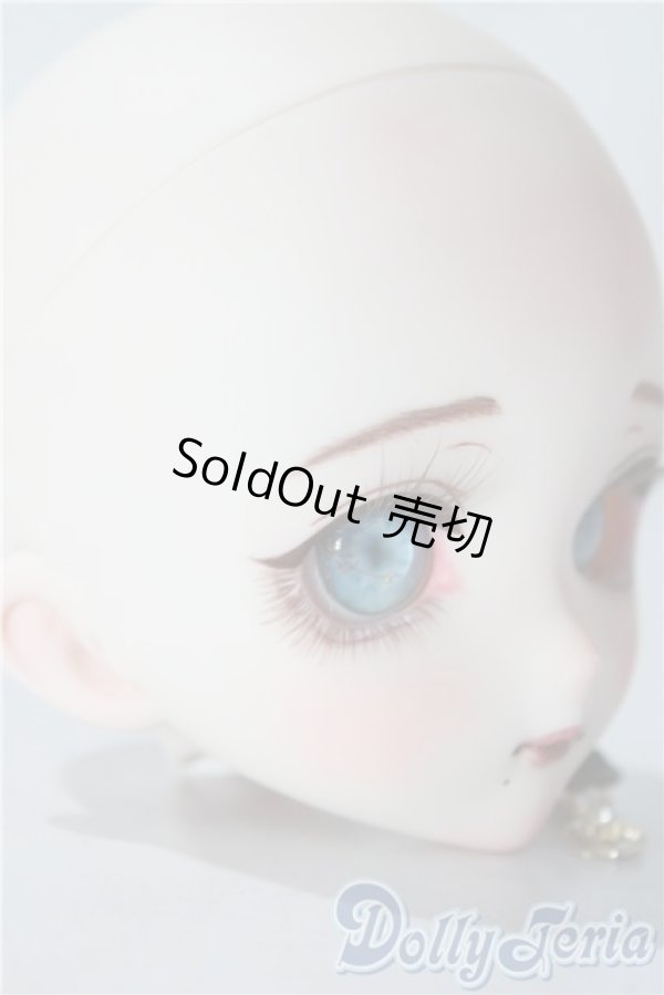 画像2: DD/DDH-07カスタムヘッド A-25-11-12-1044-TN-ZU (2)