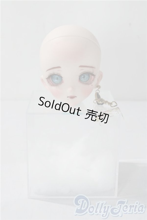 画像4: DD/DDH-07カスタムヘッド A-25-11-12-1044-TN-ZU (4)